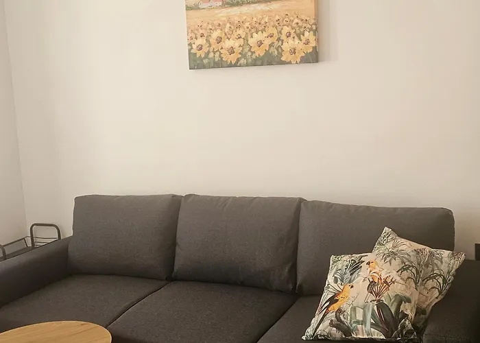 Transilvaniya Apartman *
