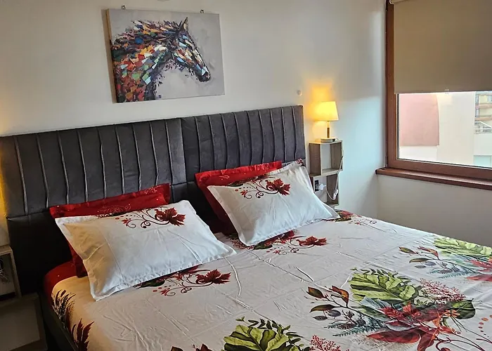 Transilvaniya Apartamento